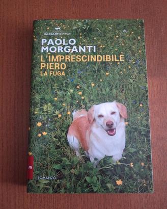 Libro nuovo 