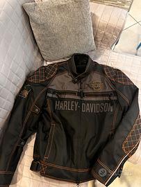 GIACCA HALEY DAVIDSON