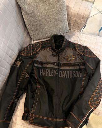 GIACCA HALEY DAVIDSON