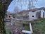 Immagine 22