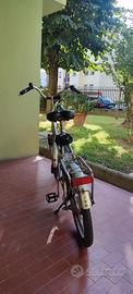 bicicletta elettrica 