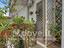 Immagine 29