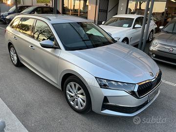Skoda Octavia 2.0 TDI 150 CV DSG Wagon Selection -
