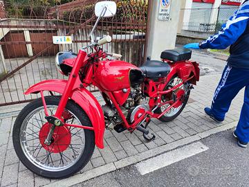 Guzzi 250 airone