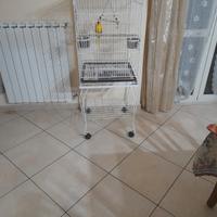 Gabbia pappagallo uccelli 