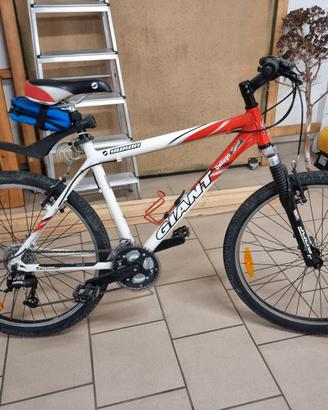 Bicicletta rampichino Mountain bike Giant