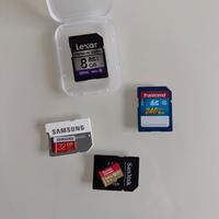 Schede SD e micro SD