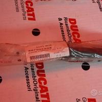 Punz.Inser. Paraoli X Ducati 748R-748RS-916r-996RS