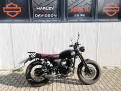 Mutt Hilts 250 - 2022