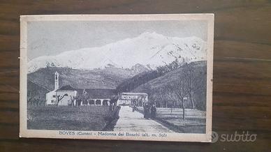 cartoline 