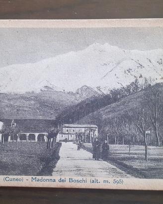 cartoline 