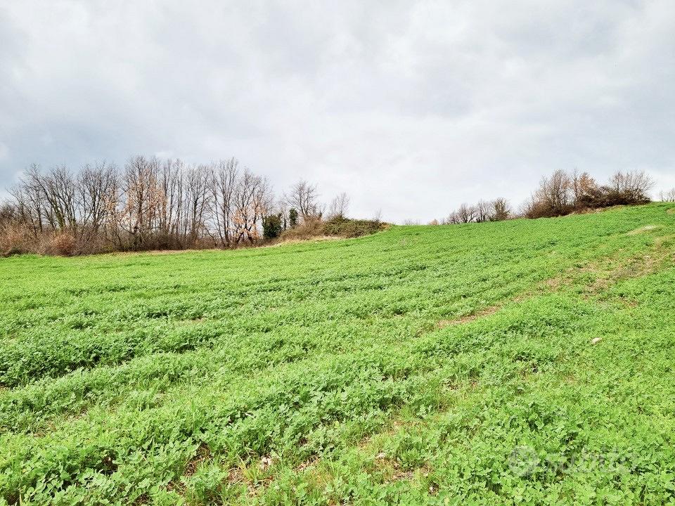 Terreni agricoli di 9000 mq - Vista 6