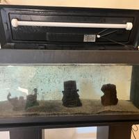 Acquario per pesci