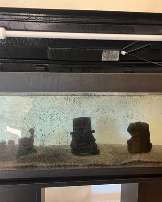 Acquario per pesci