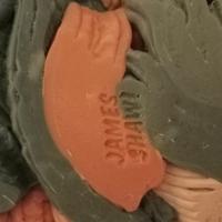 Ferma libri di design