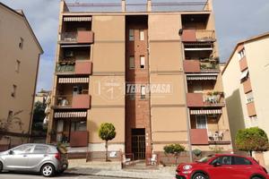 Ampio appartamento in zona servita