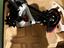 Immagine 1