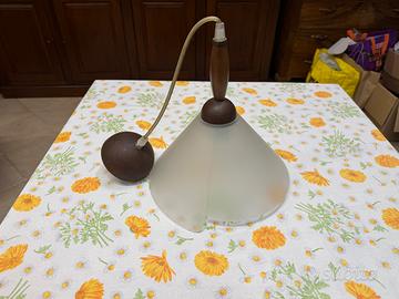 Lampadario da Soffitto in Vetro Satinato e Legno –