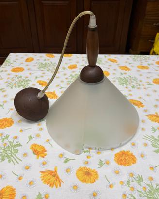 Lampadario da Soffitto in Vetro Satinato e Legno –
