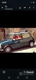 mini British open classic