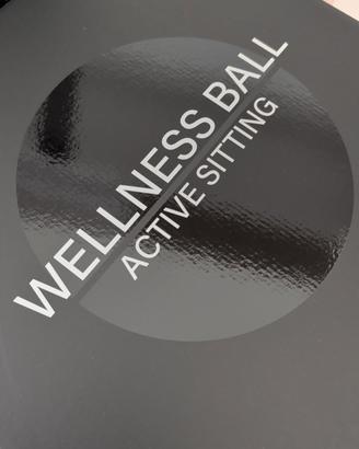 Technogym Active Sitting Ball
