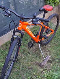 Bicicletta