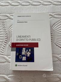 Lineamenti di diritto pubblico