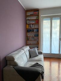 Ampio monolocale con cucina separata