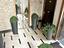 Immagine 8