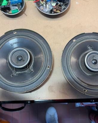 Woofer Pioneer TS