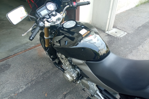 Honda Hornet