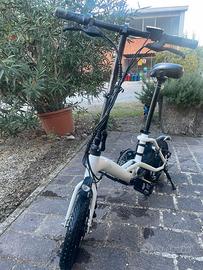 Bici elettrica  Fiido D3 Pro pieghevole elettrica