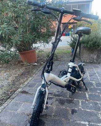 Bici elettrica  Fiido D3 Pro pieghevole elettrica