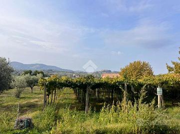 TER. AGRICOLO A SAN CESAREO