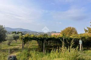 TER. AGRICOLO A SAN CESAREO