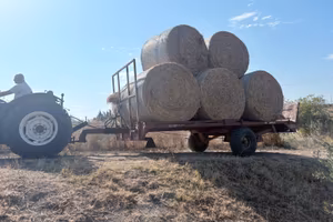 Carrellone agricolo