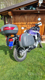 Honda transalp 600 V anno 1998