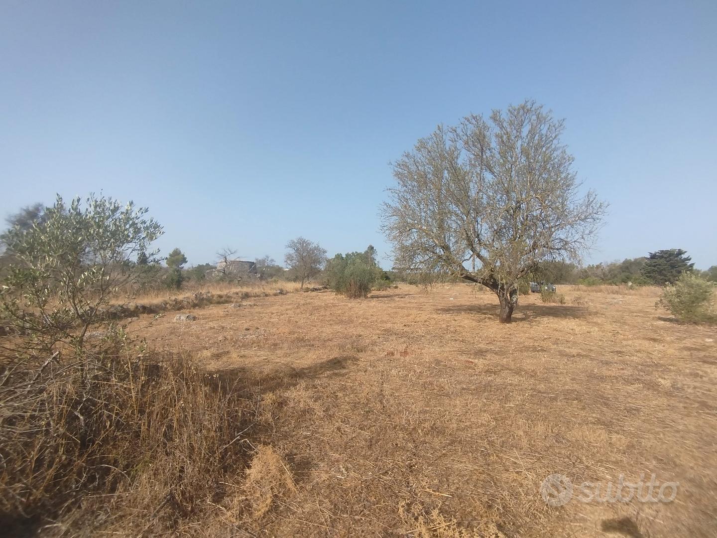 terreno agricolo zona Terrisi Parabita - Vista 4