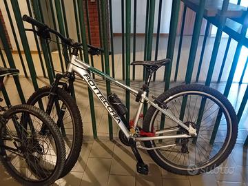 Mountain bike bottecchia , come nuova.