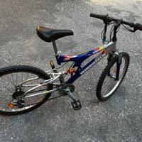 Montain Bike ruota 24
