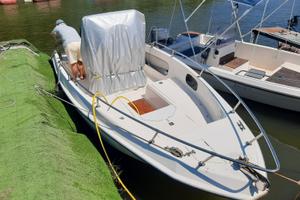 Barca Motore Mercury