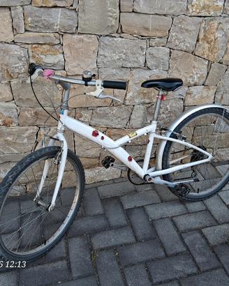 bicicletta 