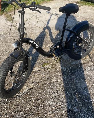 Bici woo bike