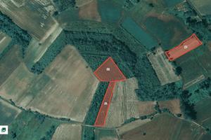Terreni Agricoli Camagna Monferrato (AL)