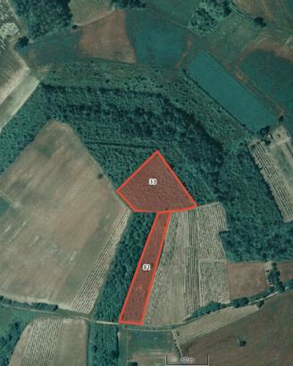 Terreni Agricoli Camagna Monferrato (AL)