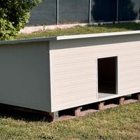 Cucce x cani SUPERCOIBENTATE