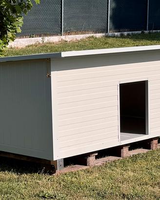 Cucce x cani SUPERCOIBENTATE