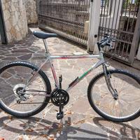 Bici Mountan Bike Bortolotto ruote 26