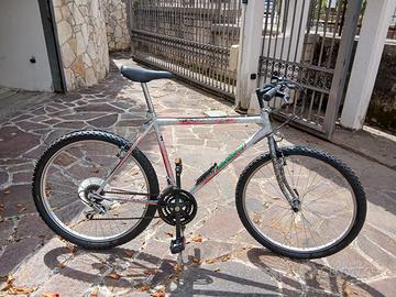 Bici Mountan Bike Bortolotto ruote 26
