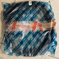 GUARNIZIONE PORTA ANT SX FIAT PUNTO 1 serie 5 p